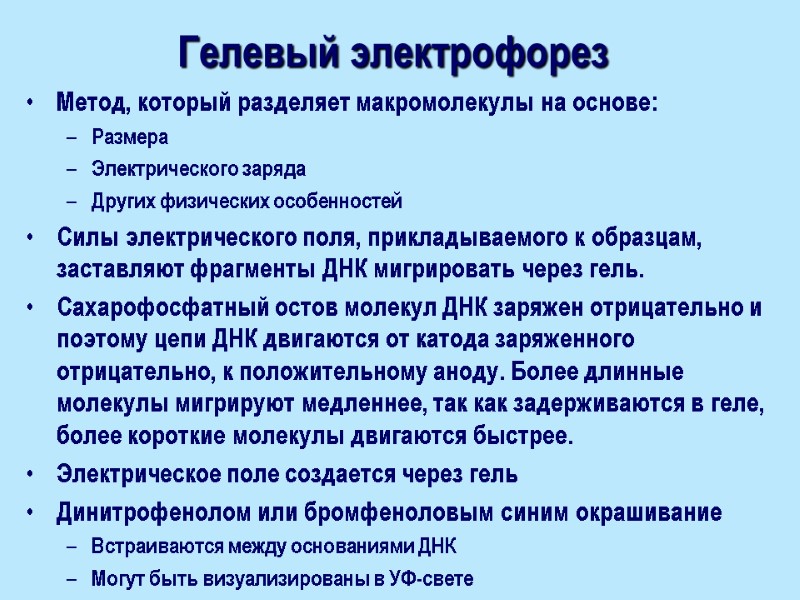 Гелевый электрофорез Метод, который разделяет макромолекулы на основе: Размера Электрического заряда Других физических особенностей